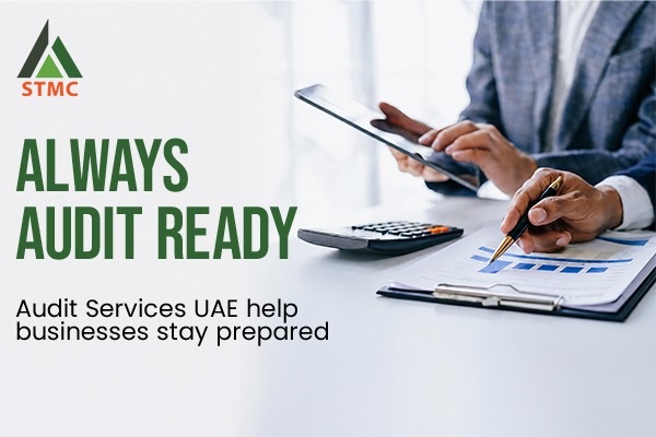 How Can Businesses Stay Audit-Ready Throughout the Financial Year?