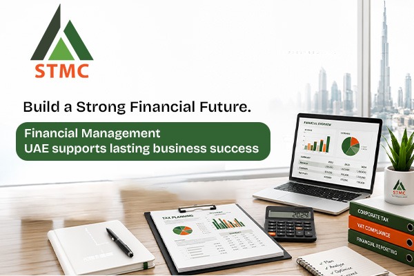 How Can Businesses Build Strong Financial Systems for Long-Term Success?