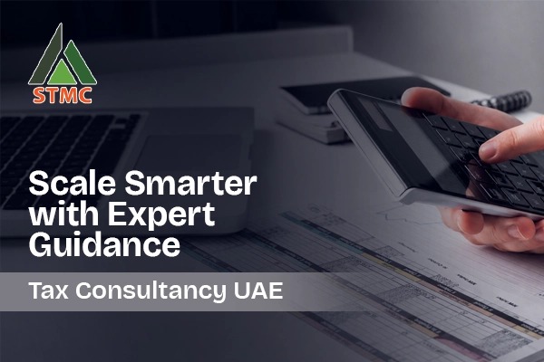 How Can CFO Services Help SMEs Scale Their Business Efficiently?