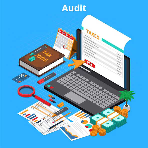 Audit